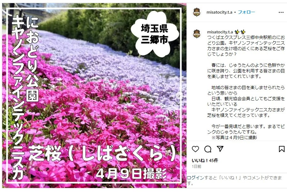 三郷市観光協会のインスタグラムで紹介された芝桜