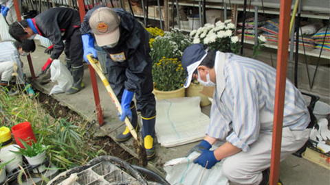 がれき除去
